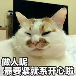  网红猫楼楼去世仅以此,献给那些年悄悄走进我生命的猫