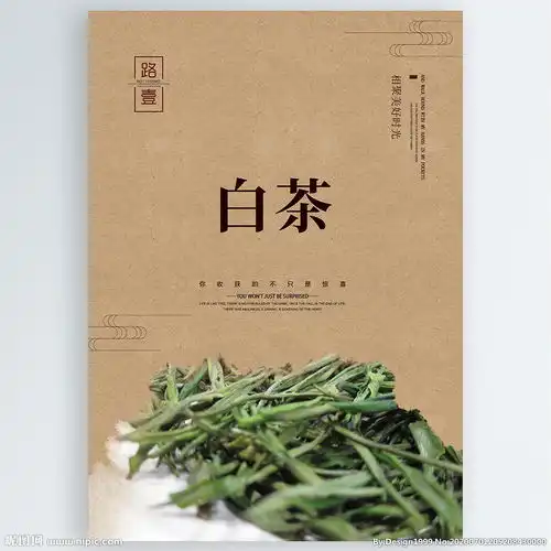 一书一茶韵微信头像白茶