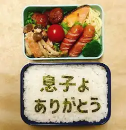  日本妈妈记录给叛逆儿子做的毒舌便当