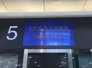  海口机场开设女性旅客安检专用通道首设安检女子班组