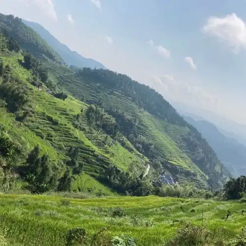  紫鹊界风景区门票,紫鹊界风景区游玩攻略360地图
