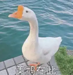  我为什么要减肥,又不是吃不起