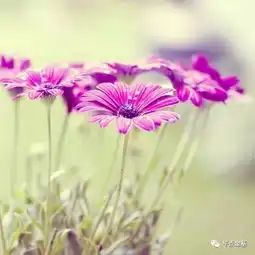  这条利好含金量高
