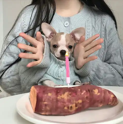  女生头像高级小众