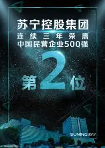  苏宁华为缘何成为民企500强班霸业绩说明一切