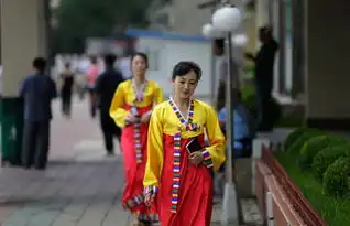  外媒镜头下的朝鲜职业女性
