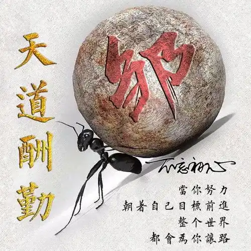  今日3d特效专属姓氏头像,换微信头像从这里开始,喜欢就带走