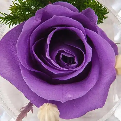  7月底守得云开见月明,3星座桃花运节节攀升,终于拥抱幸福