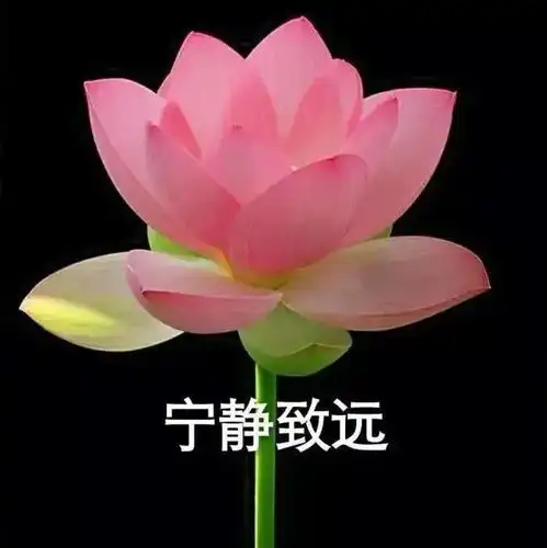  7月必备100张头像,换上有好运