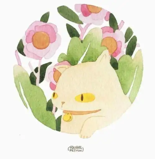  在家xi猫的新境界小清新的猫咪插画