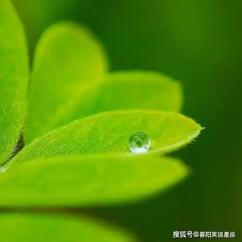  12月12号开始,好运来袭,财源广进,日子越来越好的4大星座什么