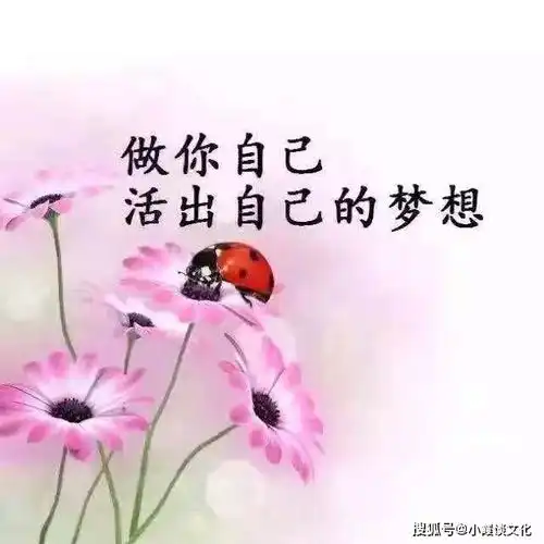  写进心窝里的心情短语,句句入心坎,发朋友圈赞到手软