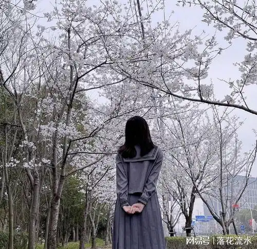  李艺彤赏花写真合集画面甜美清新脱俗