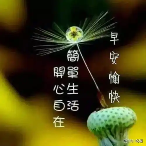  人生如棋,有进就有退,要学会善待自己,别去背负太多早安生活