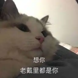 自截想保护你然后收点封保护费
