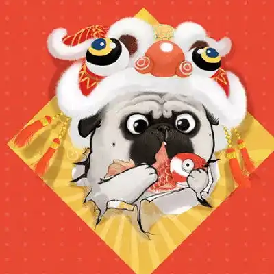  吾皇头像大全可爱吾皇猫无水印高清头像