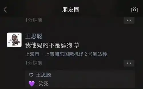  孙一宁手撕王思聪,抖音一夜涨粉300万,王思聪是否被利用了