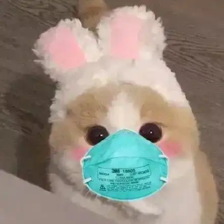  你的微信头像该换了100张口罩头像
