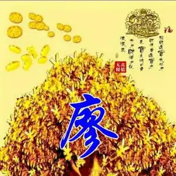  招财进宝先招才,财源广进宝才来,微信头像,姓氏手机壁纸送给你