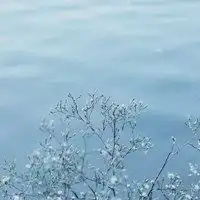  带满天星情侣头像微信头像图片大全