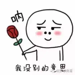  活泼文静,总有一个适合你