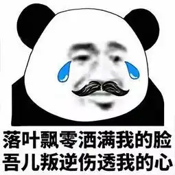 男博士勿入当代女博士迷惑行为大赏,哈哈哈哈哈
