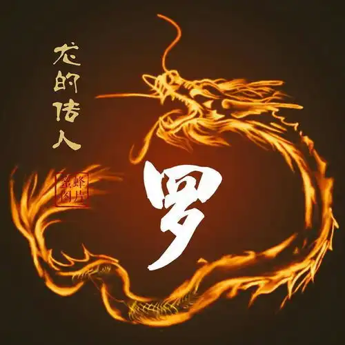  微信头像姓氏头像发财吉祥火龙设计,喜欢请带走