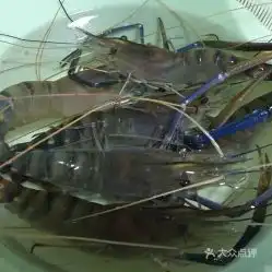  电话地址价格营业时间湖南路南京江浙菜团购