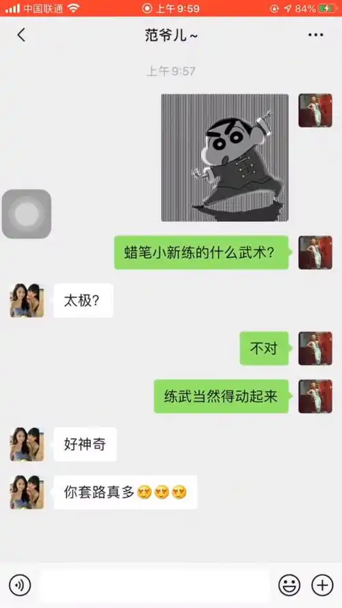  聊天记录蜡笔小新练得什么武术