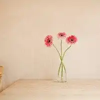  阳光下向日葵微信头像花朵微信头像图片大全