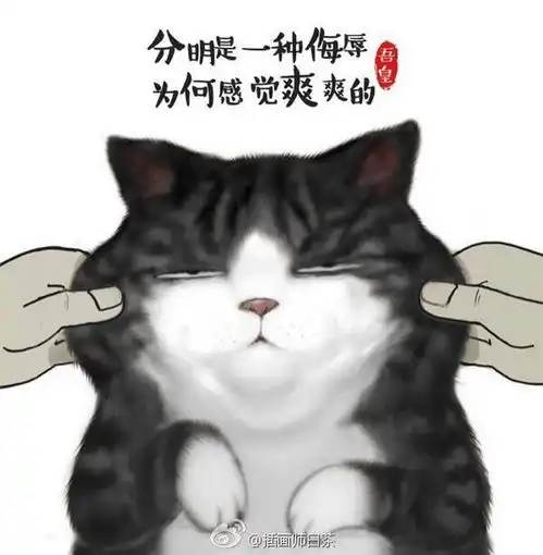  专访吾皇的爸爸白茶我性格里住着一个小女孩