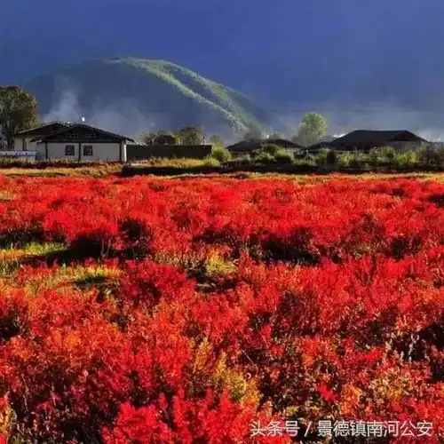  2018国内最佳旅行时间表来了,一键解锁十二个月的旅行地,承包你一整年的旅行