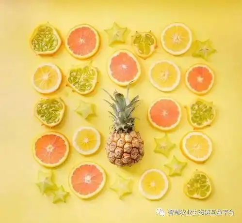  划重点未来农产品电商平台的四种发展模式