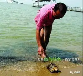  亚洲鲤鱼为何会成为世界上最成功的外来入侵物种