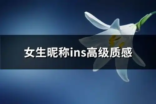  女生昵称ins高级质感精选210个