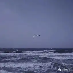  穿越时间的沟壑