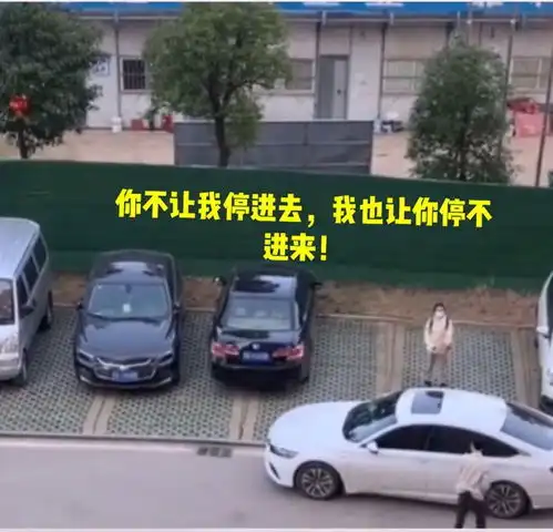 湖北武汉一女子人肉占停车位被吉利车主截胡,网友叫好