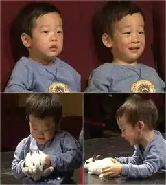  超人李辉宰变身大白兔书言书俊反应呈两极