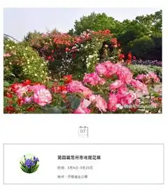  2019常州市民赏花月历出炉12大花事4大园事活动,要你好看