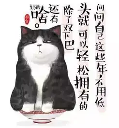 猫味百力滋
