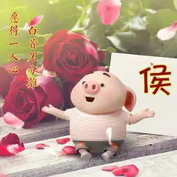  猪年你的微信头像应该换一换了,开心猪小哥,喜欢请带走
