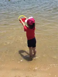 上海奉贤碧海金沙