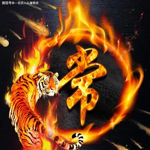  新年喜庆中国风,火焰霸气专属姓氏头像,24张大放送