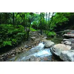 孙姓微信头像最新版黄公