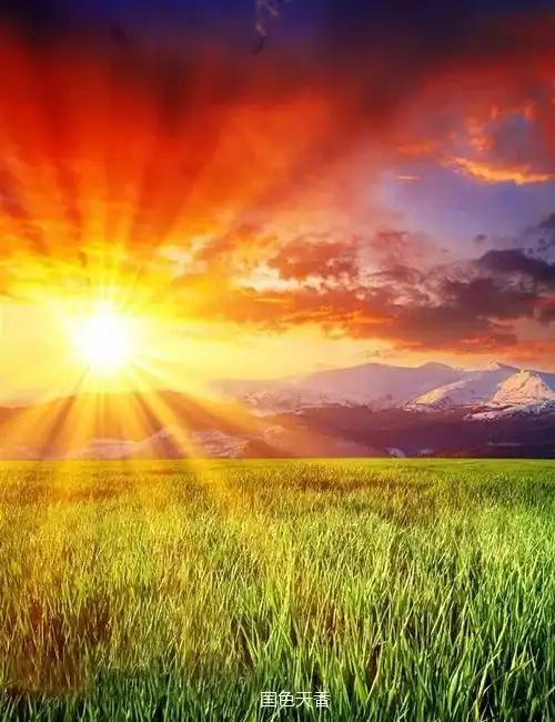 太阳图片微信头像好运