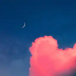  我的一个道姑朋友coverlon