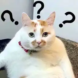  微信头像用什么好