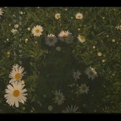  林知晚可爱唯美小清新自然背景风景静物头像我要个性网