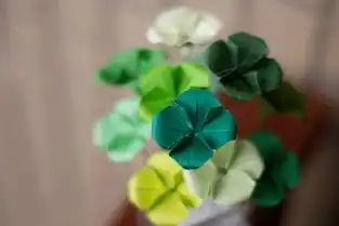  蘑菇街_小清新