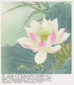 画画丨一起学习清新脱俗工笔荷花